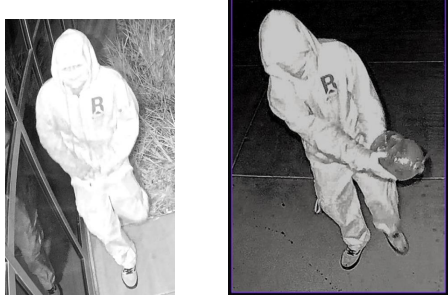Suspect Wanted for Felony Vandalism | Up to $1,000 Reward Offered